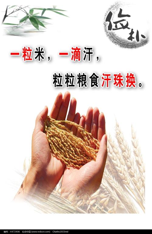 锡根大学Diploma in Finance